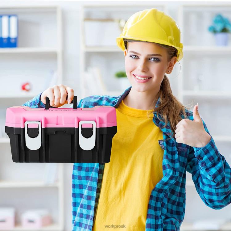 WORKPRO16-palcový box na náradie, plastový box na náradie s kovovou západkou a odnímateľným zásobníkom B2HZ23 skladovanie