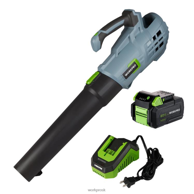 WORKPRO20V akumulátorový fúkač lístia s 5 nastaviteľnými rýchlosťami 4,0ah batéria s väčšou kapacitou a rýchlonabíjačka súčasťou balenia B2HZ292 nástroj
